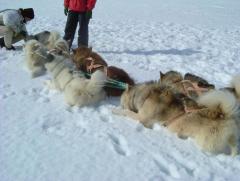 Photo /users/aendr/whiterabbit/904