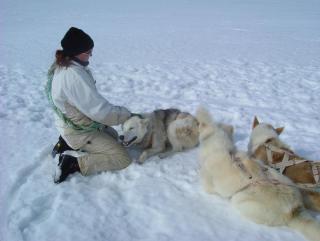 Photo /users/aendr/whiterabbit/905