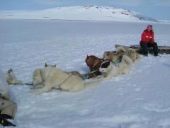 Photo /users/aendr/whiterabbit/906