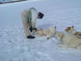 Photo /users/aendr/whiterabbit/907