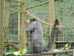 Photo /users/aendr/whiterabbit/91