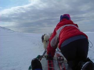 Photo /users/aendr/whiterabbit/910