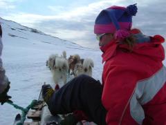 Photo /users/aendr/whiterabbit/911