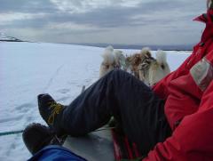 Photo /users/aendr/whiterabbit/913