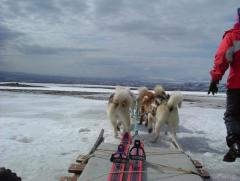 Photo /users/aendr/whiterabbit/917