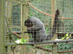 Photo /users/aendr/whiterabbit/92