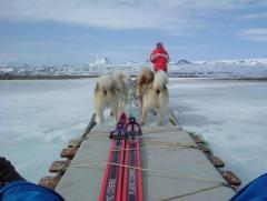 Photo /users/aendr/whiterabbit/920