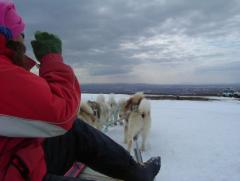 Photo /users/aendr/whiterabbit/924