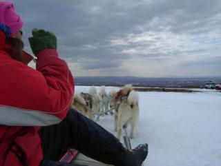 Photo /users/aendr/whiterabbit/924