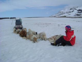 Photo /users/aendr/whiterabbit/926