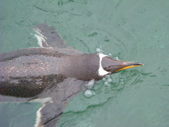 Photo /users/aendr/whiterabbit/943