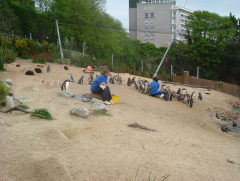 Photo /users/aendr/whiterabbit/950