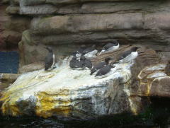 Photo /users/aendr/whiterabbit/951