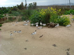 Photo /users/aendr/whiterabbit/953