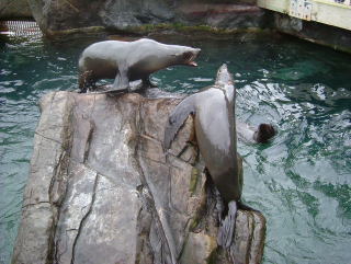 Photo /users/aendr/whiterabbit/956