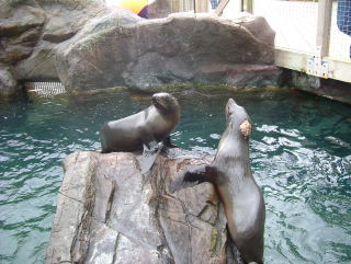 Photo /users/aendr/whiterabbit/957