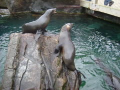 Photo /users/aendr/whiterabbit/958