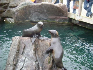 Photo /users/aendr/whiterabbit/959