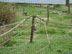 Photo /users/aendr/whiterabbit/96