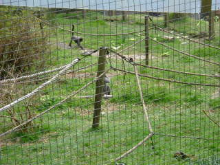 Photo /users/aendr/whiterabbit/96