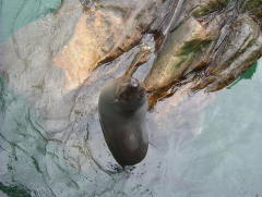 Photo /users/aendr/whiterabbit/963