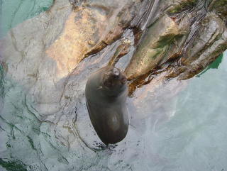 Photo /users/aendr/whiterabbit/963