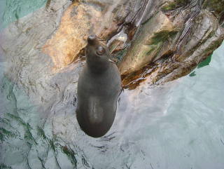 Photo /users/aendr/whiterabbit/964