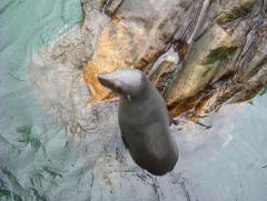 Photo /users/aendr/whiterabbit/965