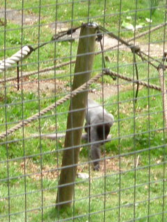 Photo /users/aendr/whiterabbit/98