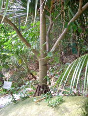 Photo /users/aendr/whiterabbit/988