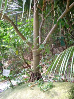 Photo /users/aendr/whiterabbit/988