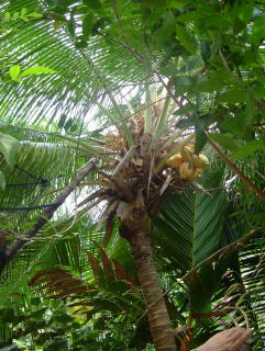 Photo /users/aendr/whiterabbit/989