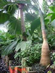 Photo /users/aendr/whiterabbit/991