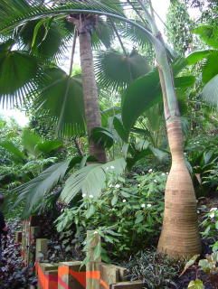 Photo /users/aendr/whiterabbit/991