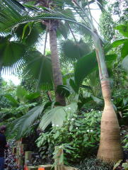 Photo /users/aendr/whiterabbit/992