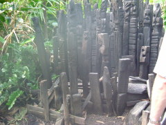 Photo /users/aendr/whiterabbit/993