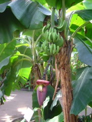 Photo /users/aendr/whiterabbit/996