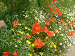 Photo /users/aendr/whiterabbit/997