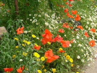 Photo /users/aendr/whiterabbit/997