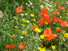 Photo /users/aendr/whiterabbit/998