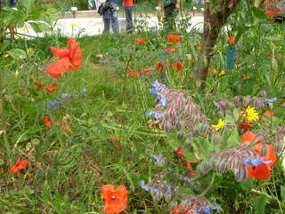 Photo /users/aendr/whiterabbit/999