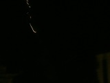 Photo /users/ganesh/banana/1339