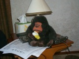 Photo /users/ganesh/banana/216