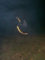 Photo /users/ganesh/banana/3094