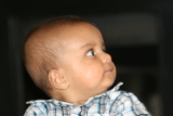 Photo /users/ganesh/collections/alexbestyear1/54