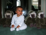 Photo /users/ganesh/collections/alexbestyear1/64