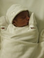 Photo /users/ganesh/collections/alexbestyear1/7