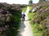 Photo /users/ganesh/events/derbyshire2012/101