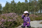 Photo /users/ganesh/events/derbyshire2012/114