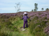 Photo /users/ganesh/events/derbyshire2012/120